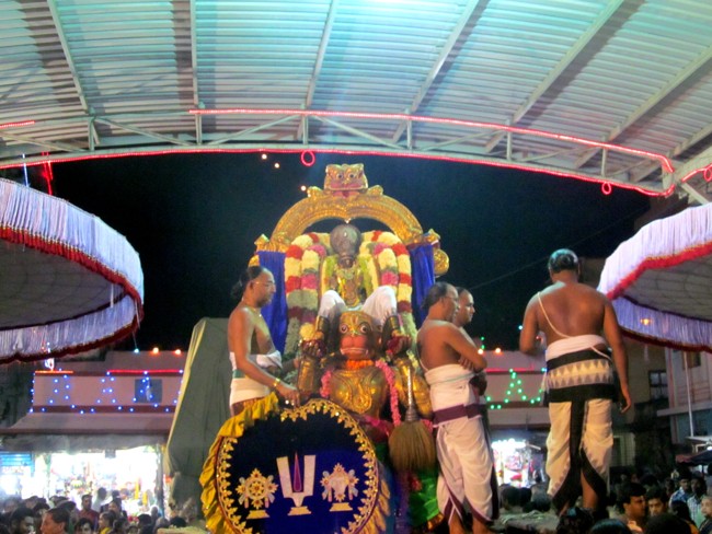 Thiruvallikeni Sri Parthasarathy Perumal Thirukoil Brahmotsavam Day 5 Evening Hanumantha Vahanam 19-04-2014   04