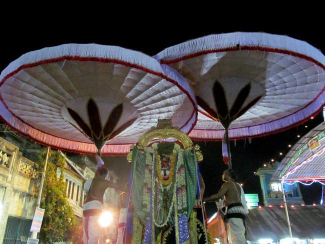 Thiruvallikeni Sri Parthasarathy Perumal Thirukoil Brahmotsavam Day 5 Evening Hanumantha Vahanam 19-04-2014   12