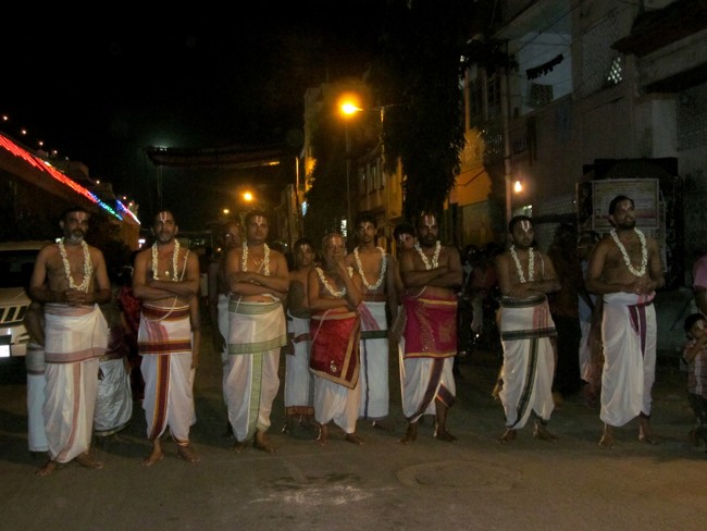 Thiruvallikeni Sri Parthasarathy Perumal Thirukoil Brahmotsavam Day 5 Evening Hanumantha Vahanam 19-04-2014   16