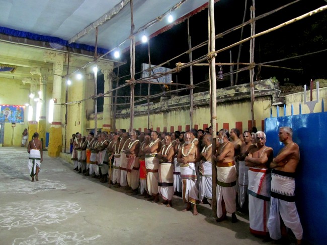 Thiruvallikeni Sri Parthasarathy Perumal Thirukoil Brahmotsavam Day 5 Evening Hanumantha Vahanam 19-04-2014   18
