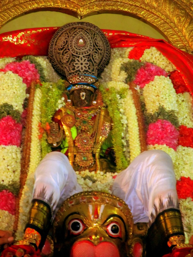 Thiruvallikeni Sri Parthasarathy Perumal Thirukoil Brahmotsavam Day 5 Evening Hanumantha Vahanam 19-04-2014   23