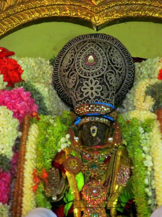 Thiruvallikeni Sri Parthasarathy Perumal Thirukoil Brahmotsavam Day 5 Evening Hanumantha Vahanam 19-04-2014   24