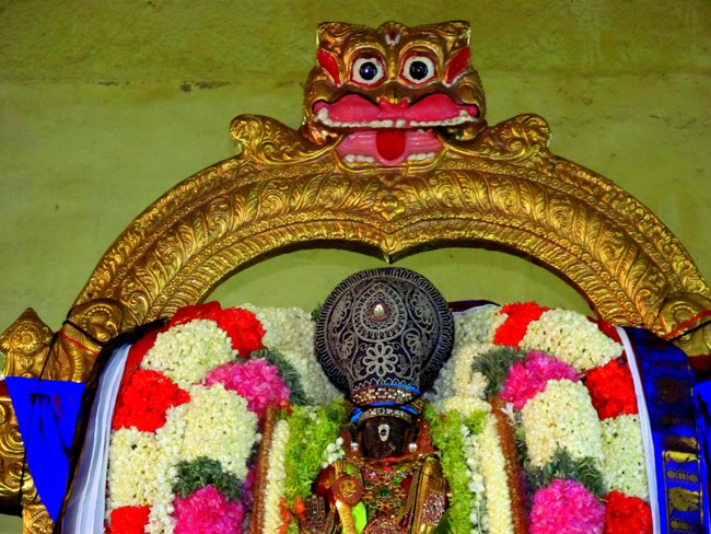 Thiruvallikeni Sri Parthasarathy Perumal Thirukoil Brahmotsavam Day 5 Evening Hanumantha Vahanam 19-04-2014   25