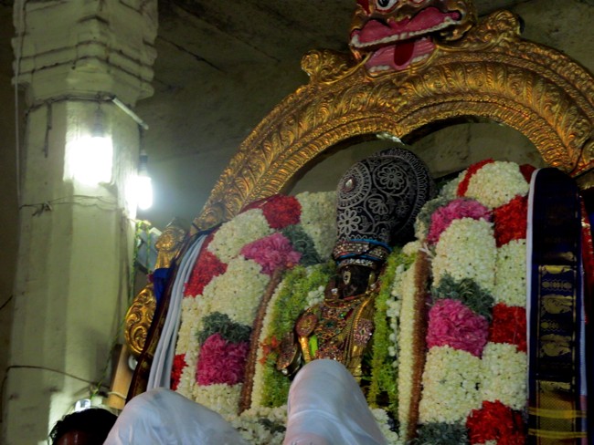 Thiruvallikeni Sri Parthasarathy Perumal Thirukoil Brahmotsavam Day 5 Evening Hanumantha Vahanam 19-04-2014   27