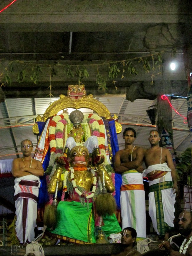 Thiruvallikeni Sri Parthasarathy Perumal Thirukoil Brahmotsavam Day 5 Evening Hanumantha Vahanam 19-04-2014   35