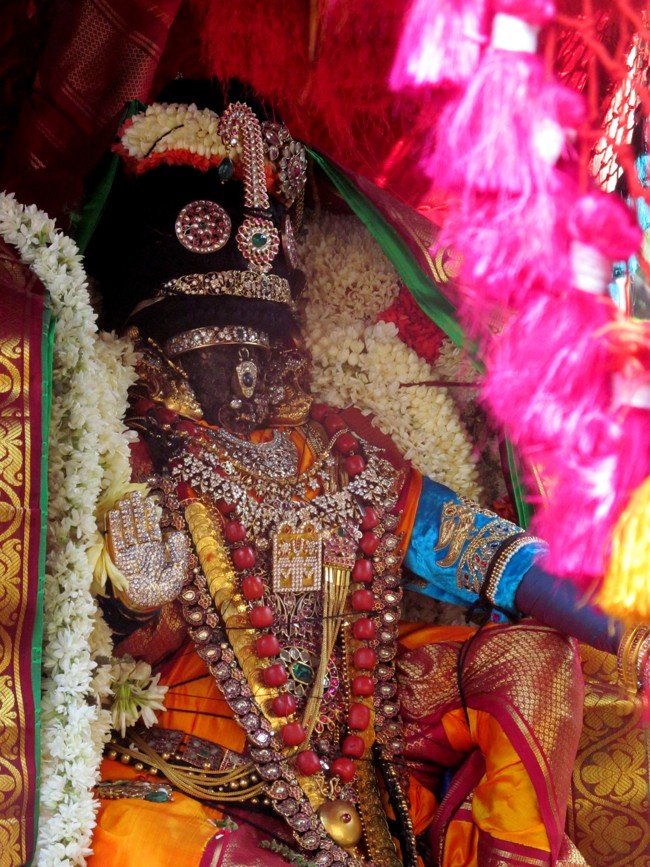 Thiruvallikeni Sri Parthasarathy Perumal Thirukoil Brahmotsavam Day 5 Morning Nachiyar Thirukolam 19-04-2014   01