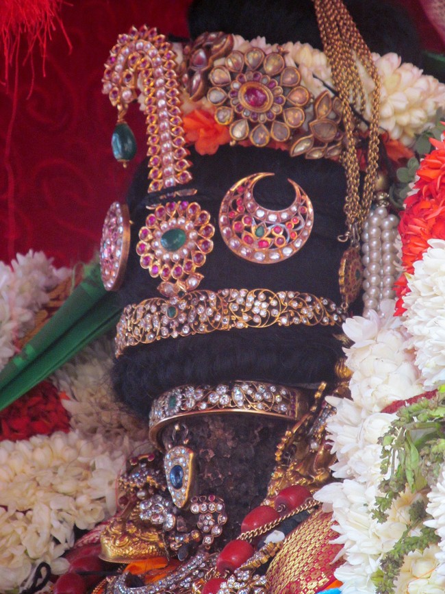 Thiruvallikeni Sri Parthasarathy Perumal Thirukoil Brahmotsavam Day 5 Morning Nachiyar Thirukolam 19-04-2014   05