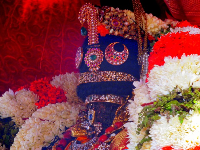 Thiruvallikeni Sri Parthasarathy Perumal Thirukoil Brahmotsavam Day 5 Morning Nachiyar Thirukolam 19-04-2014   06