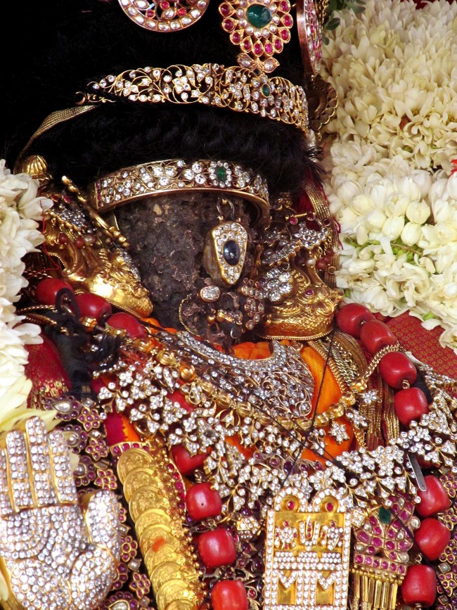 Thiruvallikeni Sri Parthasarathy Perumal Thirukoil Brahmotsavam Day 5 Morning Nachiyar Thirukolam 19-04-2014   19