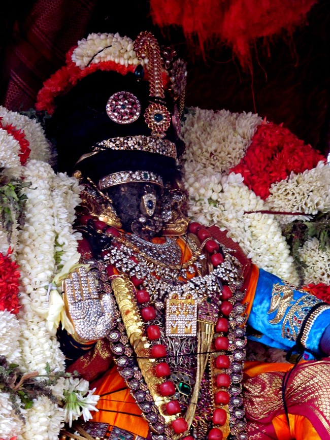 Thiruvallikeni Sri Parthasarathy Perumal Thirukoil Brahmotsavam Day 5 Morning Nachiyar Thirukolam 19-04-2014   21