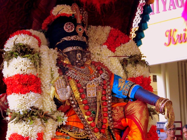 Thiruvallikeni Sri Parthasarathy Perumal Thirukoil Brahmotsavam Day 5 Morning Nachiyar Thirukolam 19-04-2014   23