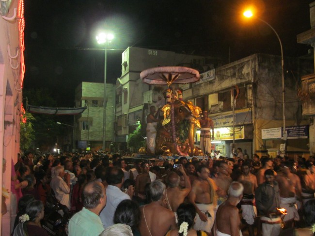 Thiruvallikeni Sri Parthasarathy Perumal Thirukoil Brahmotsavam Day 6 Evening Yanai Vahanam 20-04-2014   13