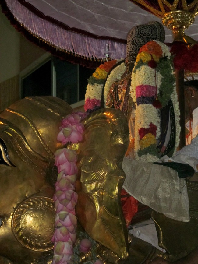 Thiruvallikeni Sri Parthasarathy Perumal Thirukoil Brahmotsavam Day 6 Evening Yanai Vahanam 20-04-2014   16