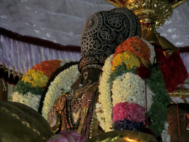 Thiruvallikeni Sri Parthasarathy Perumal Thirukoil Brahmotsavam Day 6 Evening Yanai Vahanam 20-04-2014   18