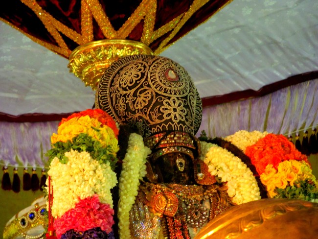 Thiruvallikeni Sri Parthasarathy Perumal Thirukoil Brahmotsavam Day 6 Evening Yanai Vahanam 20-04-2014   22