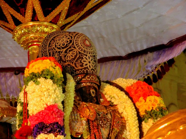 Thiruvallikeni Sri Parthasarathy Perumal Thirukoil Brahmotsavam Day 6 Evening Yanai Vahanam 20-04-2014   24