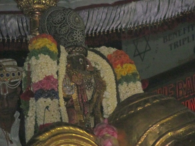 Thiruvallikeni Sri Parthasarathy Perumal Thirukoil Brahmotsavam Day 6 Evening Yanai Vahanam 20-04-2014   27