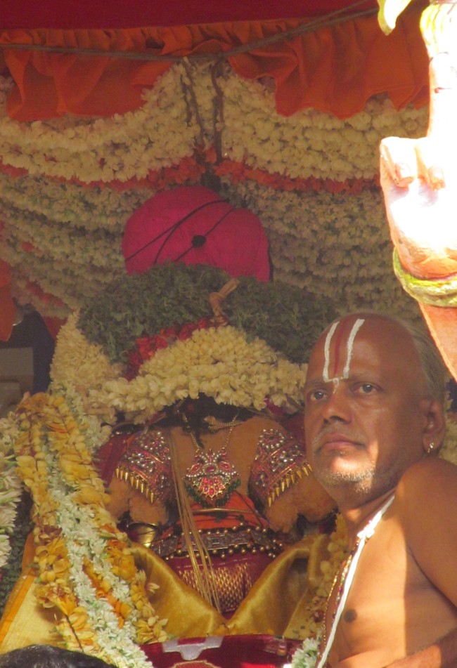 Thiruvallikeni Sri Parthasarathy Perumal Thirukoil Brahmotsavam Day 7 Morning ThiruTher 21-04-2014   11