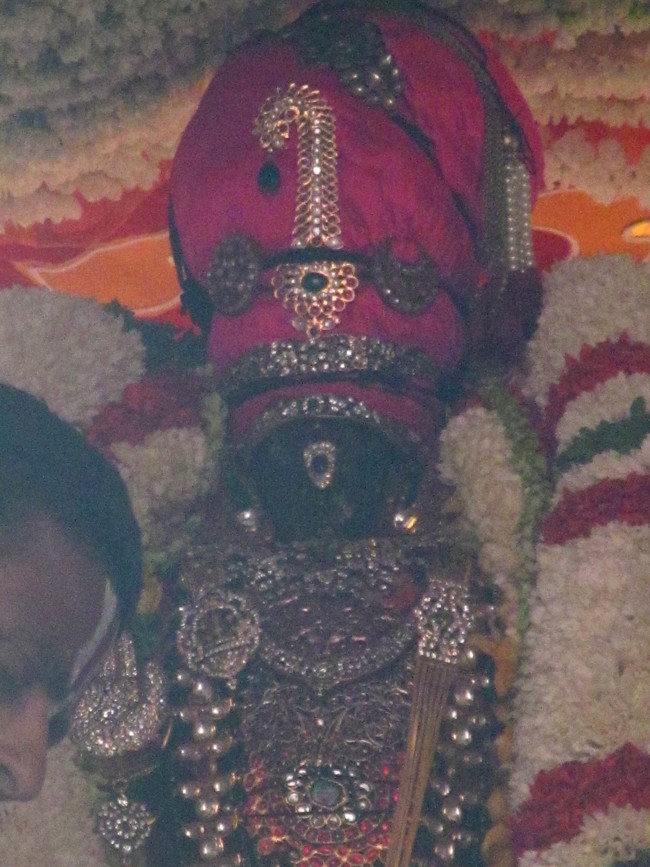 Thiruvallikeni Sri Parthasarathy Perumal Thirukoil Brahmotsavam Day 7 Morning ThiruTher 21-04-2014   14