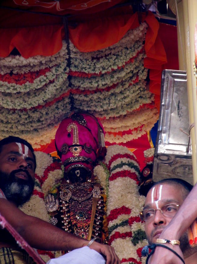 Thiruvallikeni Sri Parthasarathy Perumal Thirukoil Brahmotsavam Day 7 Morning ThiruTher 21-04-2014   16