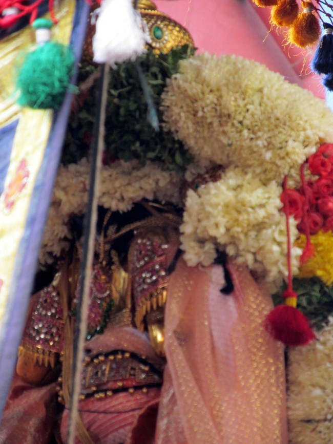 Thiruvallikeni Sri Parthasarathy Perumal Thirukoil Brahmotsavam Day 8 Morning Aalum Pallaku 23-04-2014   32