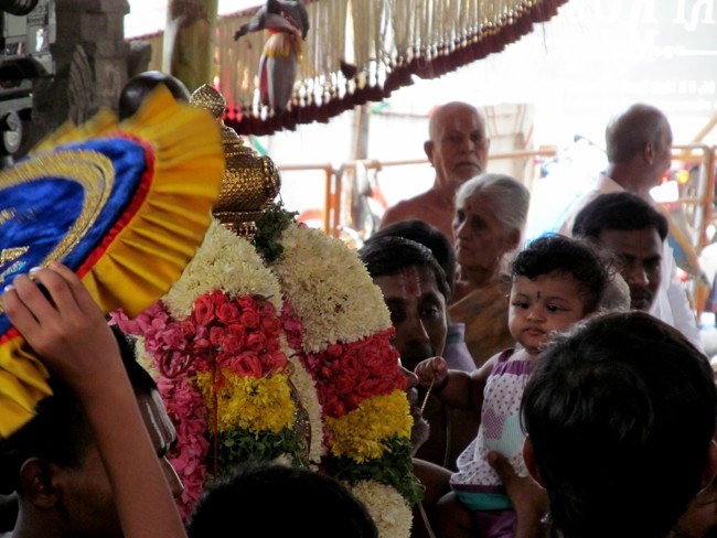 Thiruvallikeni Sri Parthasarathy Perumal Thirukoil Brahmotsavam Day 8 Morning Aalum Pallaku 23-04-2014   45