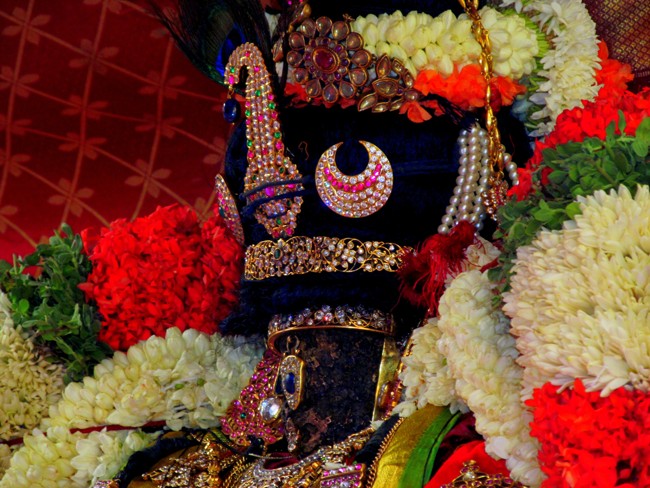 Thiruvallikeni Sri Parthasarathy Perumal Thirukoil Brahmotsavam Day 8 Morning Vennai Thazhi Krishnan 22-04-2014   16