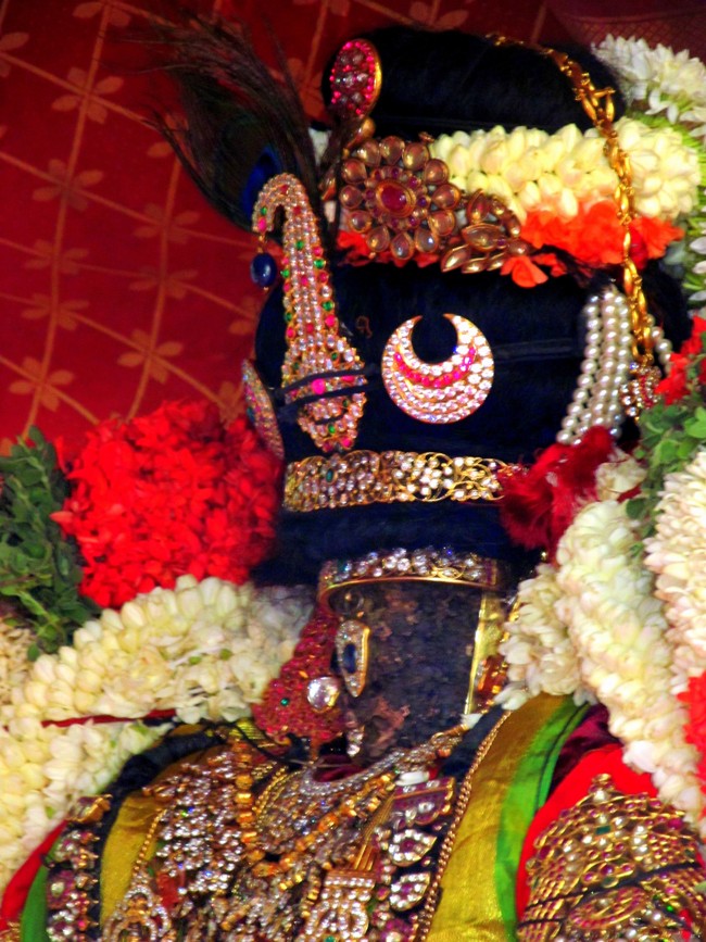 Thiruvallikeni Sri Parthasarathy Perumal Thirukoil Brahmotsavam Day 8 Morning Vennai Thazhi Krishnan 22-04-2014   19