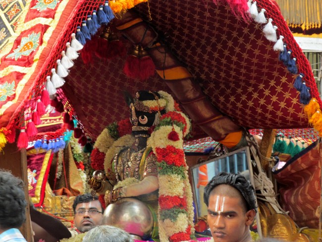 Thiruvallikeni Sri Parthasarathy Perumal Thirukoil Brahmotsavam Day 8 Morning Vennai Thazhi Krishnan 22-04-2014   23