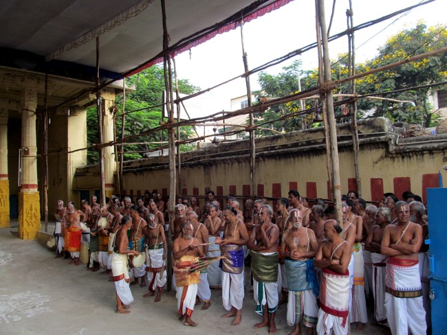 Thiruvallikeni Sri Parthasarathy Perumal Thirukoil Brahmotsavam Day 8 Morning Vennai Thazhi Krishnan 22-04-2014   28