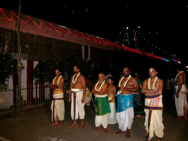Thiruvallikeni Sri Parthasarathy Perumal Thirukoil Brahmotsavam Day 8 Night Kudhirai Vahanam 22-04-2014   16
