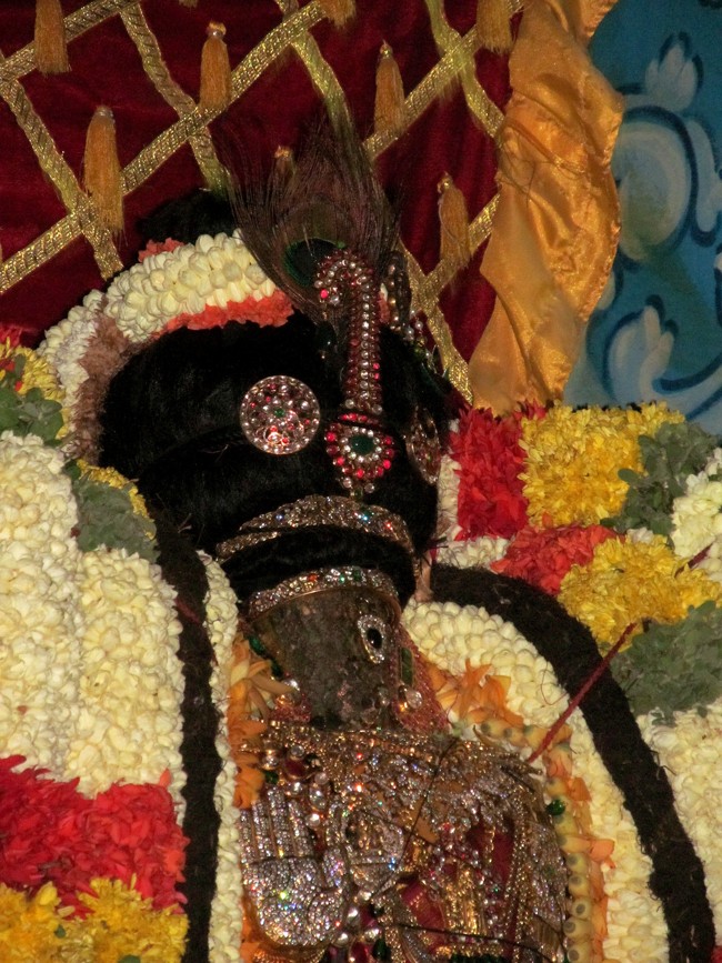 Thiruvallikeni Sri Parthasarathy Perumal Thirukoil Brahmotsavam Day 9 Kannadi  Pallaku 23-04-2014   10