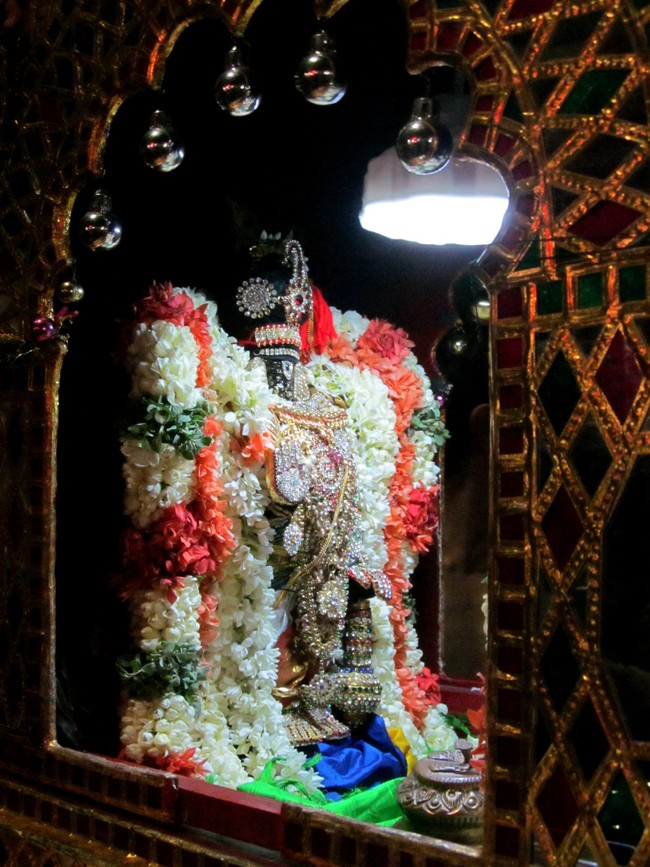 Thiruvallikeni Sri Parthasarathy Perumal Thirukoil Brahmotsavam Day 9 Kannadi  Pallaku 23-04-2014   13