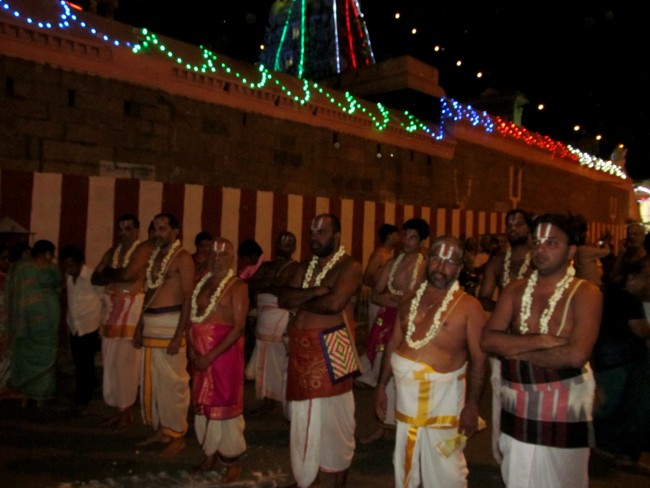 Thiruvallikeni Sri Parthasarathy Perumal Thirukoil Brahmotsavam Day 9 Kannadi  Pallaku 23-04-2014   18