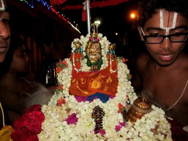 Thiruvallikeni Sri Parthasarathy Perumal Thirukoil Brahmotsavam Day 9 Kannadi  Pallaku 23-04-2014   19