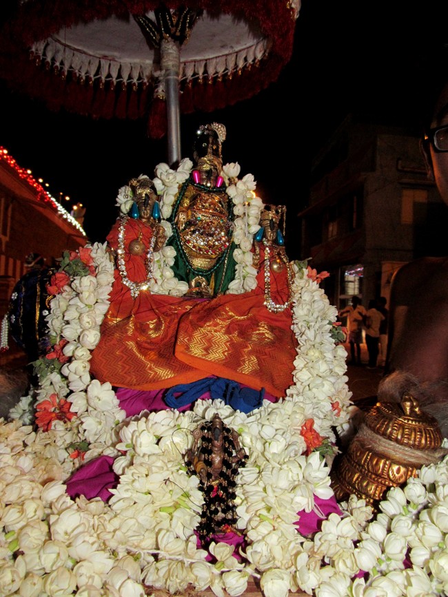 Thiruvallikeni Sri Parthasarathy Perumal Thirukoil Brahmotsavam Day 9 Kannadi  Pallaku 23-04-2014   20