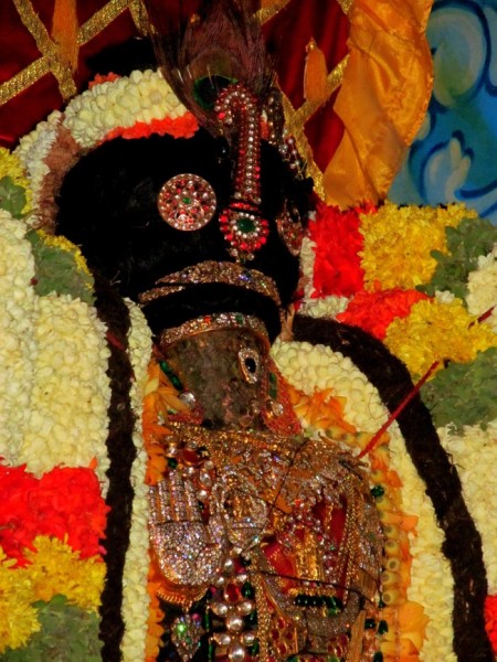 Thiruvallikeni Sri Parthasarathy Perumal Thirukoil Brahmotsavam Day 9 Kannadi  Pallaku 23-04-2014   21