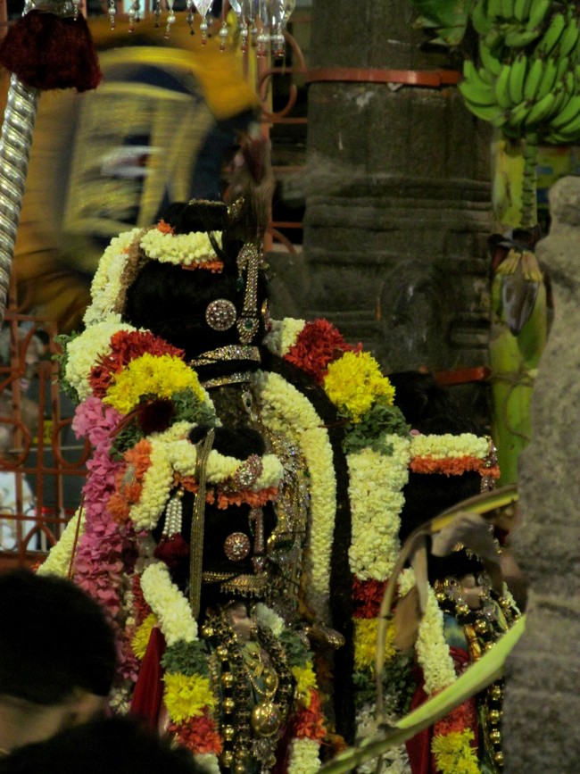 Thiruvallikeni Sri Parthasarathy Perumal Thirukoil Brahmotsavam Day 9 Kannadi  Pallaku 23-04-2014   28
