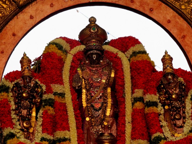 Thiruvallikeni Sri Parthasarathy Perumal Thirukoil Brahmotsavam Day4  Morning Suriya Prabhai 18-04-2014   04