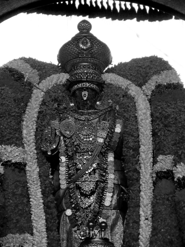Thiruvallikeni Sri Parthasarathy Perumal Thirukoil Brahmotsavam Day4  Morning Suriya Prabhai 18-04-2014   07