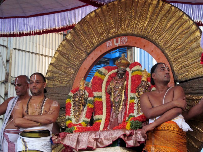 Thiruvallikeni Sri Parthasarathy Perumal Thirukoil Brahmotsavam Day4  Morning Suriya Prabhai 18-04-2014   10