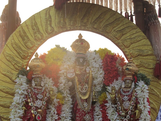 Thiruvallikeni Sri Parthasarathy Perumal Thirukoil Brahmotsavam Day4  Morning Suriya Prabhai 18-04-2014   14