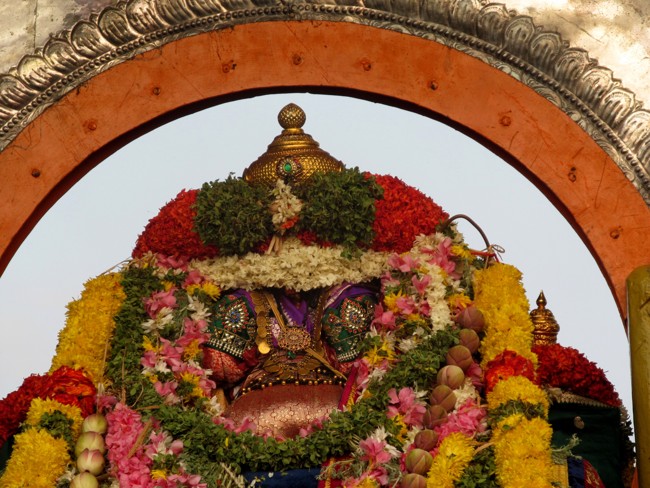 Thiruvallikeni Sri Parthasarathy Perumal Thirukoil Brahmotsavam Day4  Morning Suriya Prabhai 18-04-2014   19