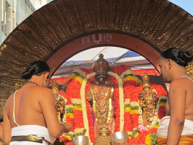 Thiruvallikeni Sri Parthasarathy Perumal Thirukoil Brahmotsavam Day4  Morning Suriya Prabhai 18-04-2014   24