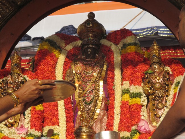 Thiruvallikeni Sri Parthasarathy Perumal Thirukoil Brahmotsavam Day4  Morning Suriya Prabhai 18-04-2014   26