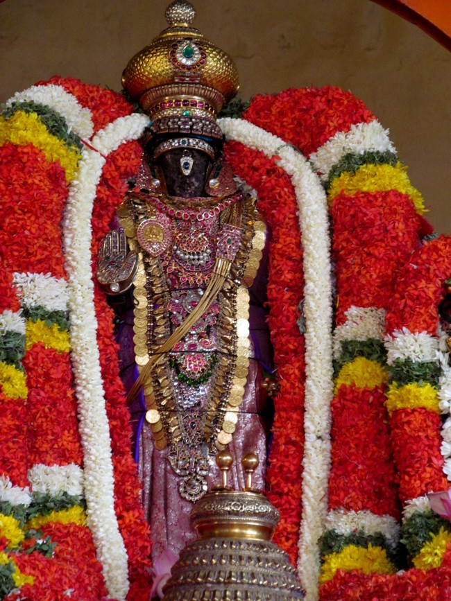 Thiruvallikeni Sri Parthasarathy Perumal Thirukoil Brahmotsavam Day4  Morning Suriya Prabhai 18-04-2014   29
