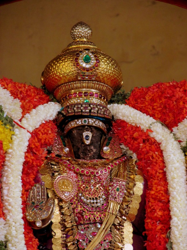 Thiruvallikeni Sri Parthasarathy Perumal Thirukoil Brahmotsavam Day4  Morning Suriya Prabhai 18-04-2014   30