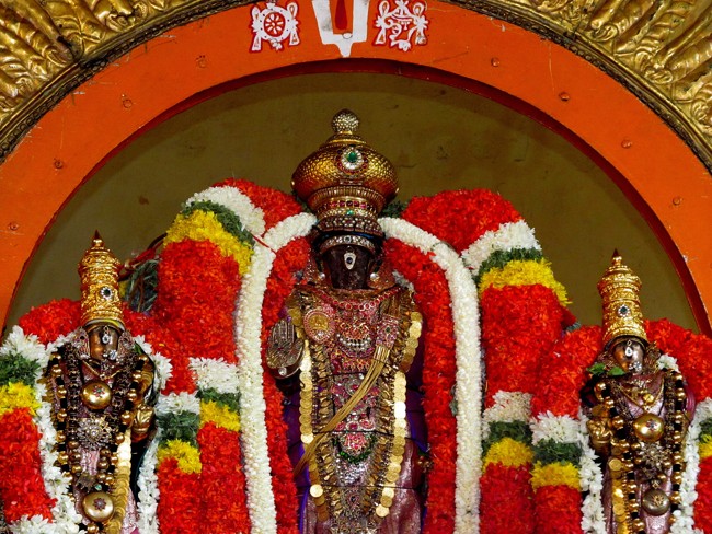 Thiruvallikeni Sri Parthasarathy Perumal Thirukoil Brahmotsavam Day4  Morning Suriya Prabhai 18-04-2014   36