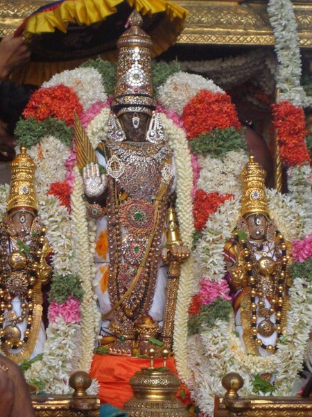 Thiruvallikeni Sri Parthasarthy Perumal Brahmothsavam Anandha Nilya Vimanam0