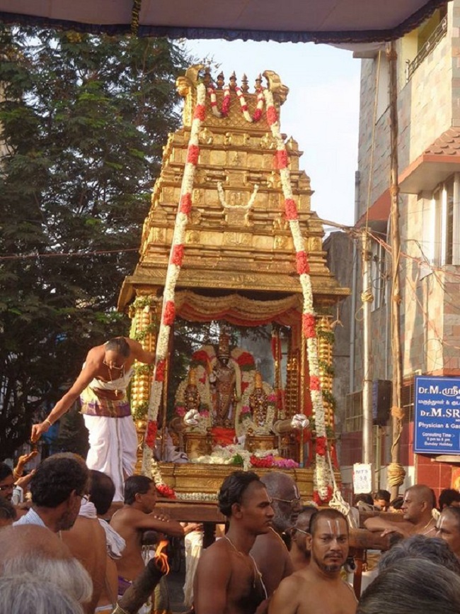 Thiruvallikeni Sri Parthasarthy Perumal Brahmothsavam Anandha Nilya Vimanam10